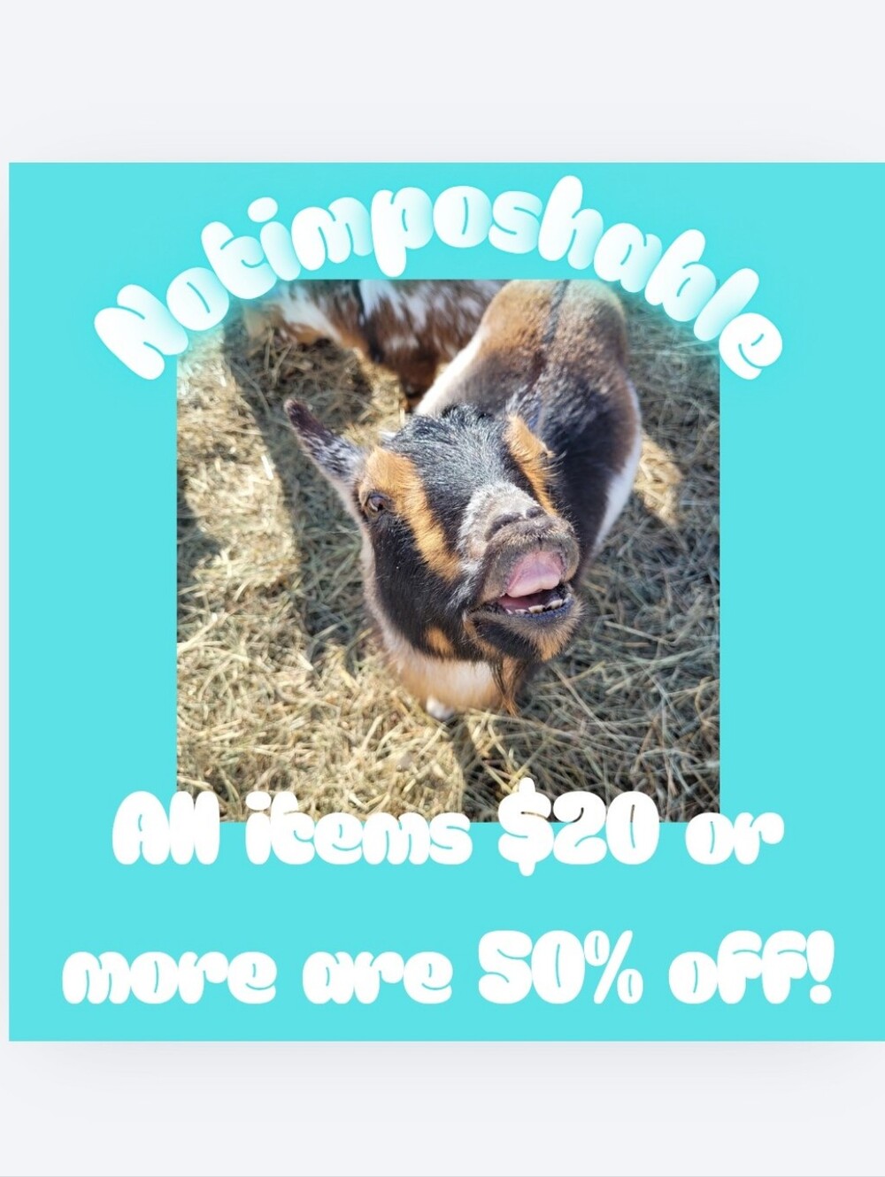SALE ALERT: ALL ITEMS $20 OR MORE ARE 50% OFF!